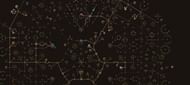 Path of Exile - Guardian Skill Tree (Image via Grinding Gear Games)